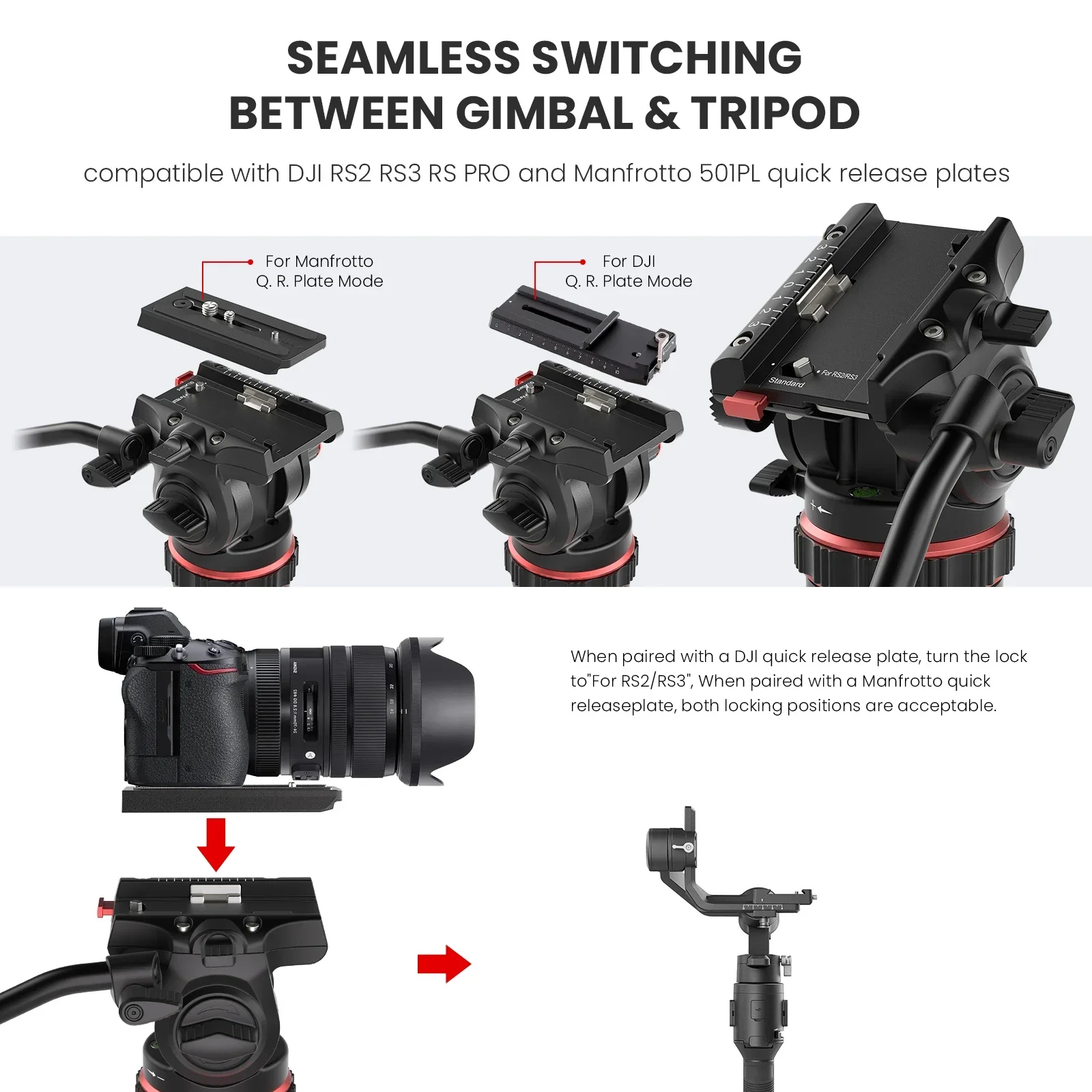 EVUMO DF6 Professional Video T - Heavy Equipment Video 评论和价格